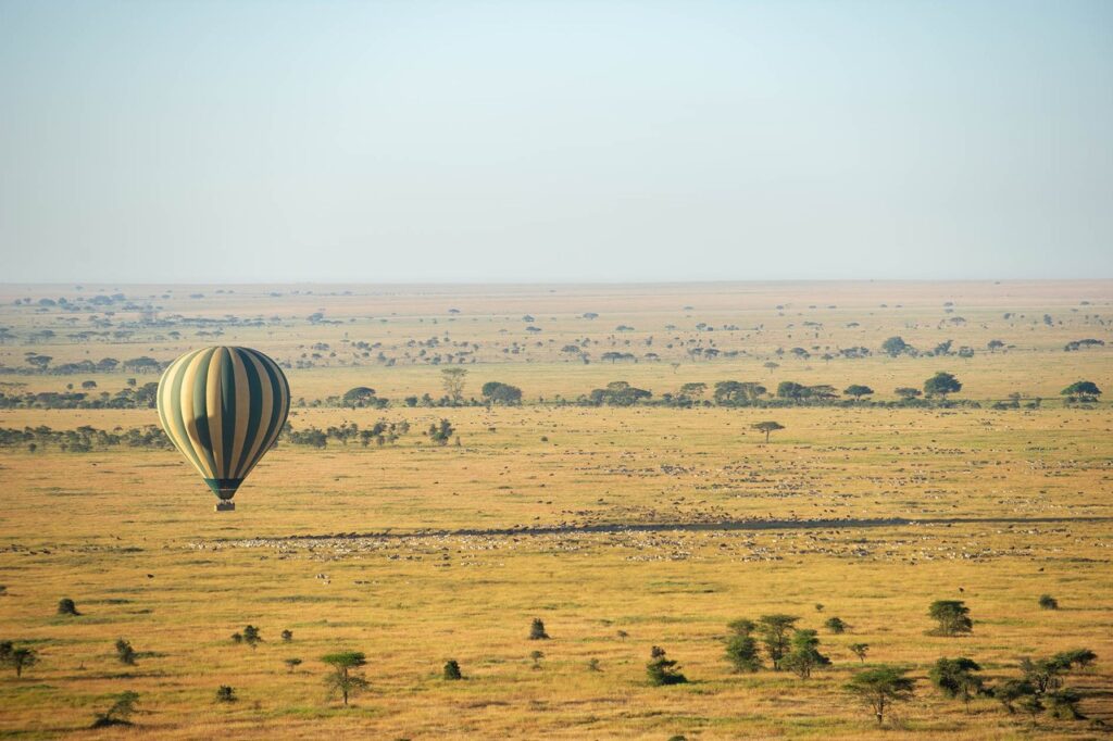 John Corse. Serengeti, Tanzania.