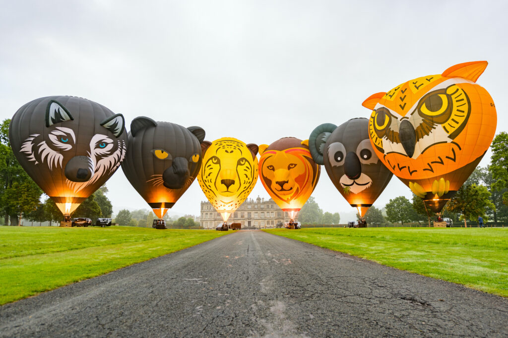 Mike Buckle. Longleat, UK.