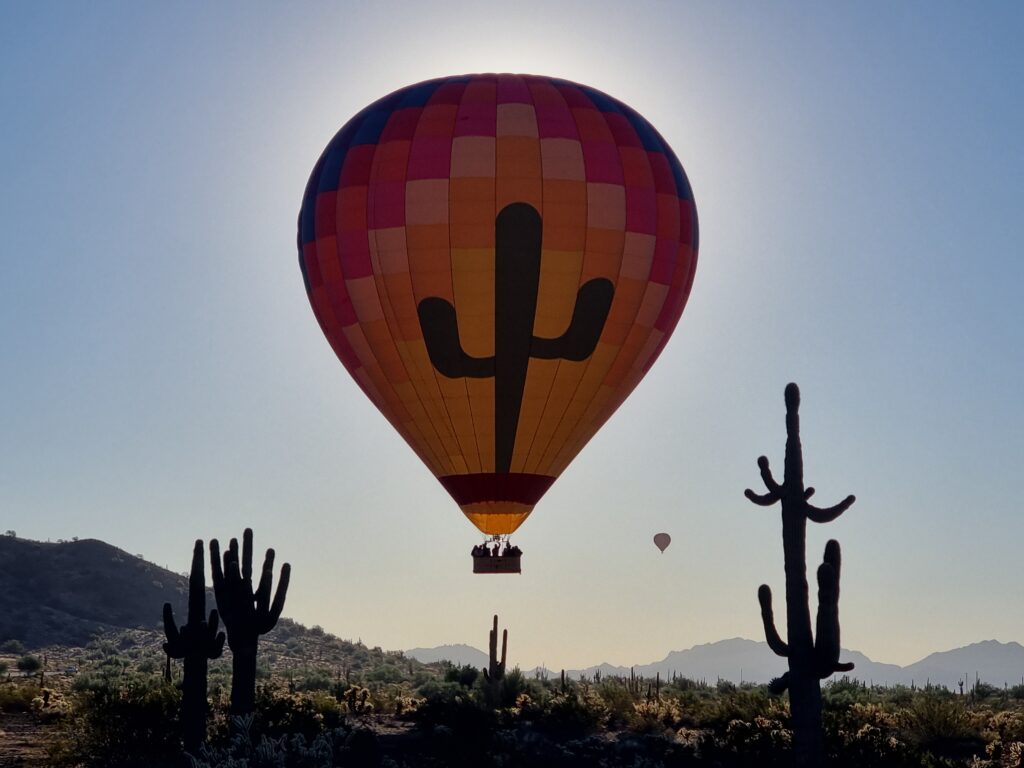 Mª Neus Gambin - Arizona - USA